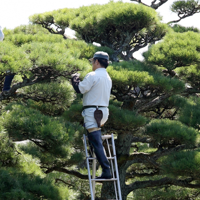 年間定期サポート