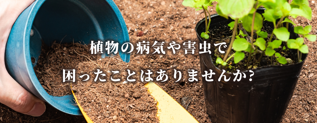 神戸市西区の植木剪定・害虫駆除・外構造園 がーでんパパ