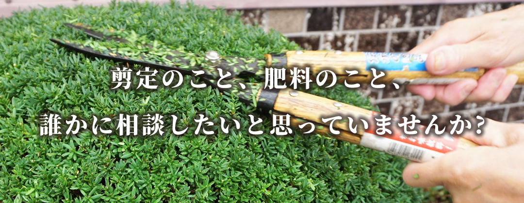 神戸市西区の植木剪定・害虫駆除・外構造園 がーでんパパ